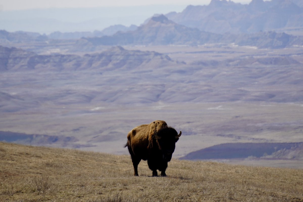 Ryan Scholl |-/ tweet media