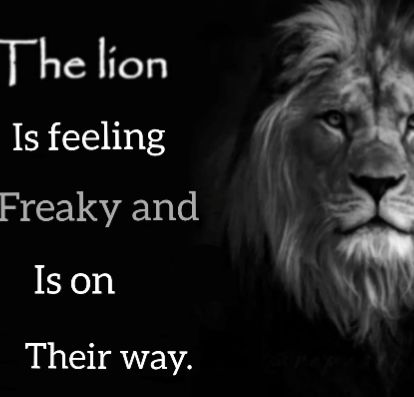 𝐏𝐑𝐄𝐋𝐀𝐓𝐈 / ¿ tweet media