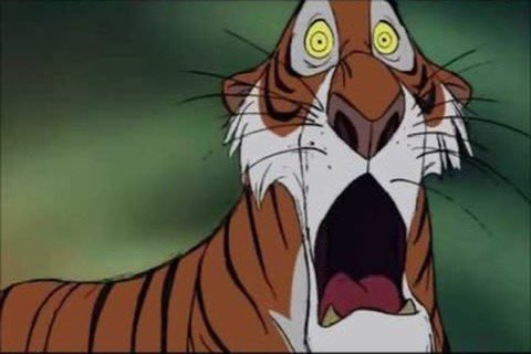 danisha carter tweet media