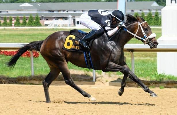 Horse Racing Nation tweet media