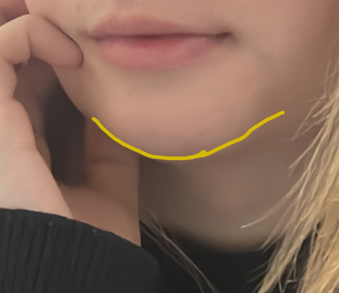 Aspen goes birding⛸️ tweet media