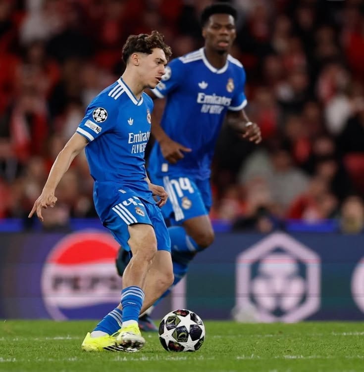 Madrid Zone tweet media