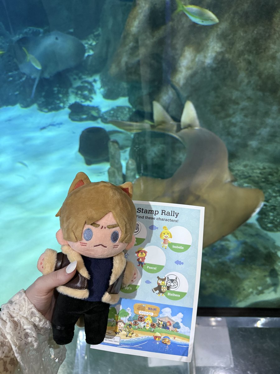 moshimangos's tweet photo. Leon’s trip to the sealife aquarium 🐠✨
#residentevil #leonkennedy https://t.co/1g3y8yKqA6