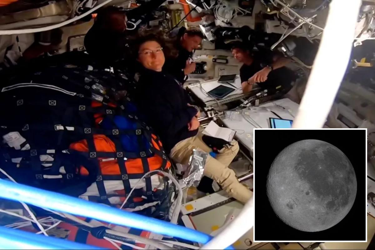 New York Post tweet media