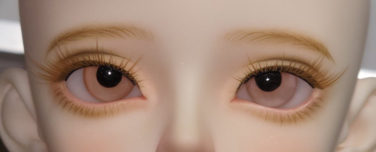 로냥이 tweet media