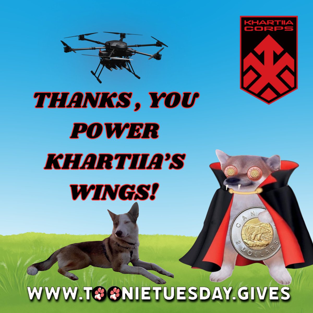 Cydsinc 💙💛🇨🇦🇺🇸🌊 tweet media