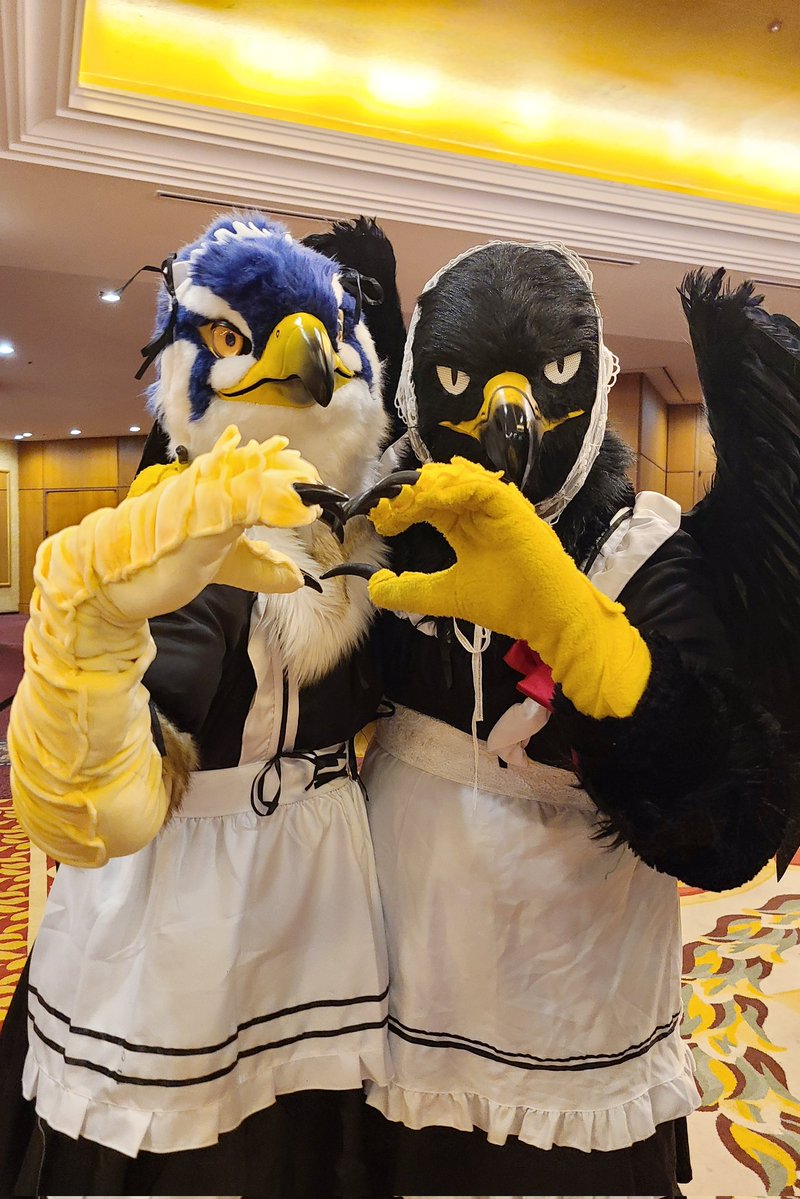 Natsu夏🦌🌿➡️Furstclass tweet media