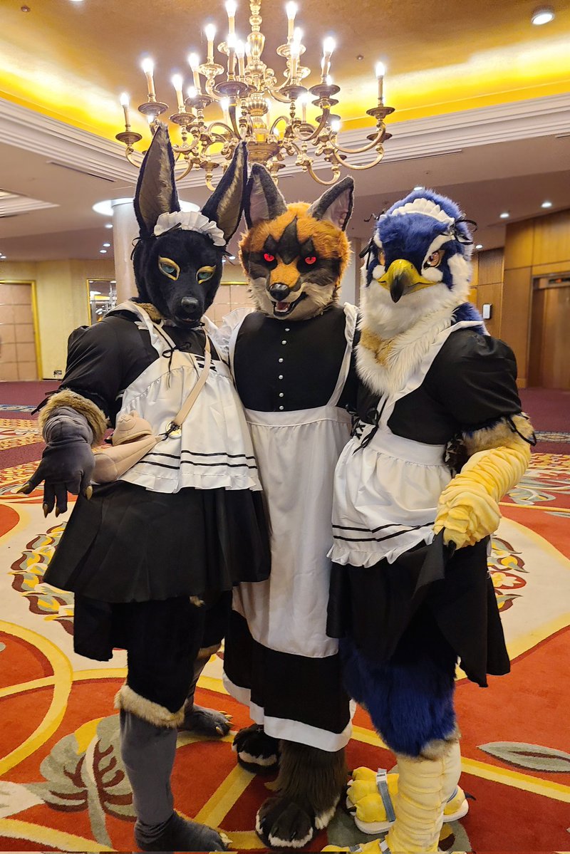 Natsu夏🦌🌿➡️Furstclass tweet media