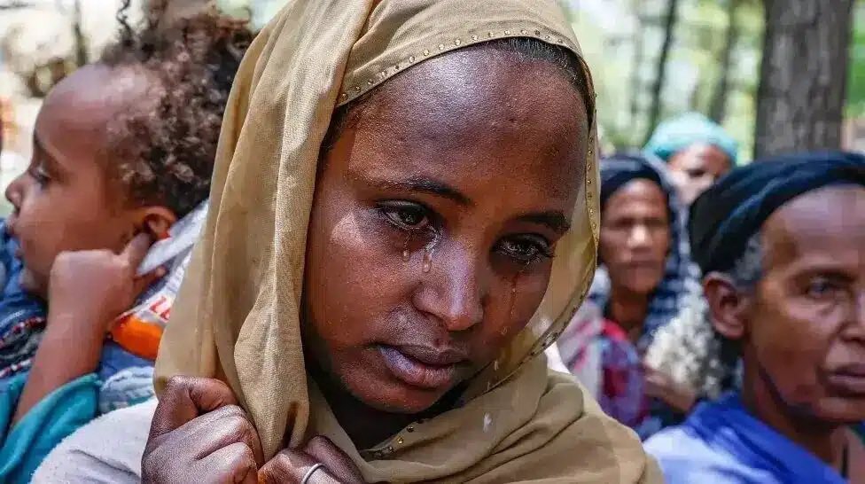ማለዳ tweet media