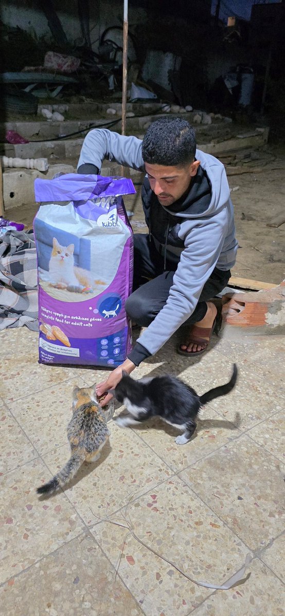 🐾help Animal Gaza🐾 tweet media