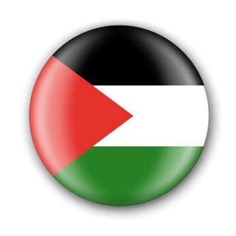 Anem A Pams - Rosa tweet media