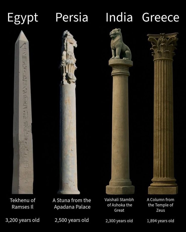 LeoDaVinciWave tweet media