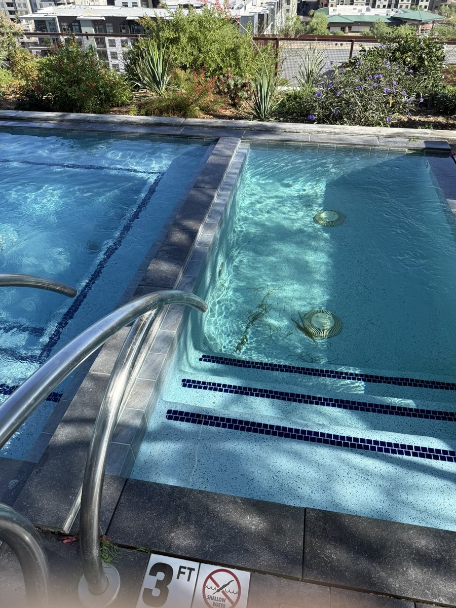 Brett Feinsod tweet media