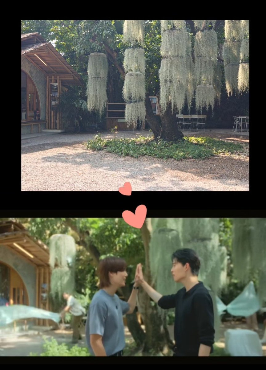 Chi 🪄 tweet media