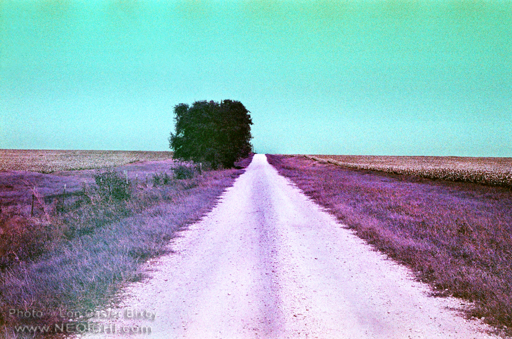 OfficialNeoichi's tweet photo. Them Old Cotton Fields Back Home

#Naturephotography #lomochrome #lomography #infrared #Texas #CottonFields #Farming #DirtRoads https://t.co/FhAmRYgazW