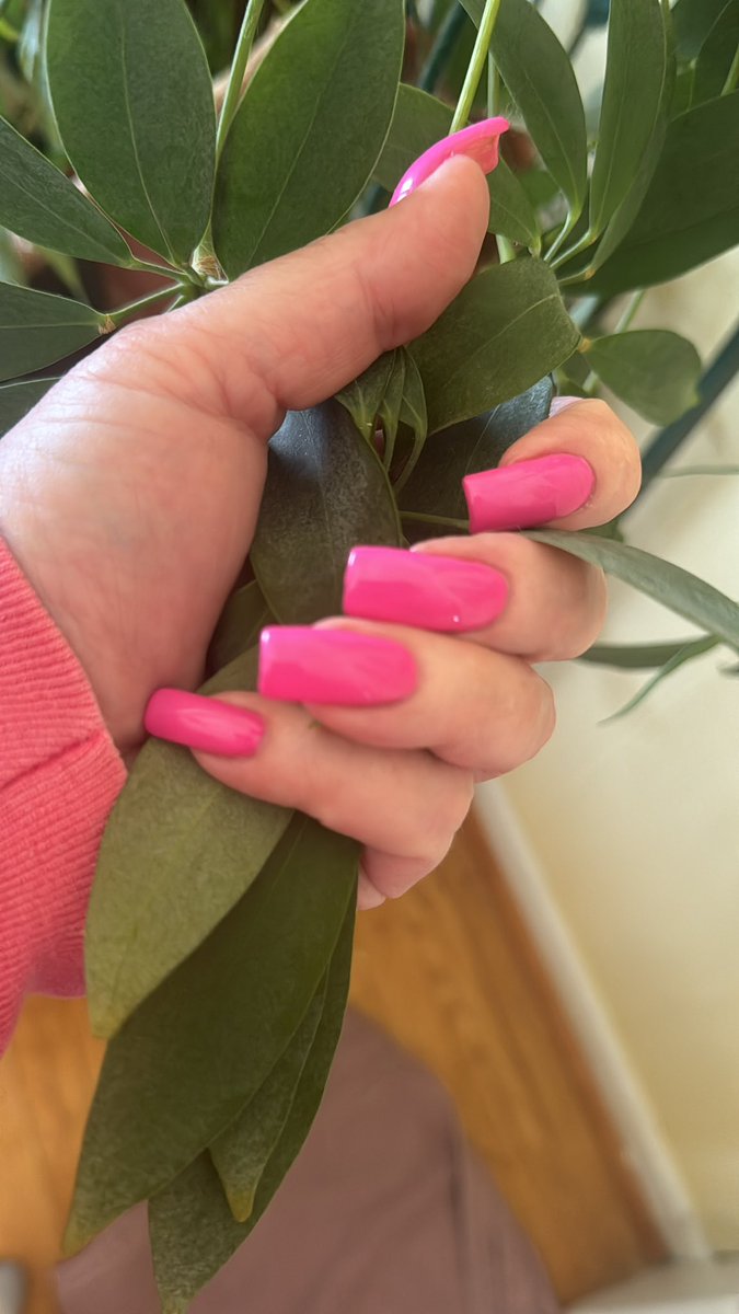 🐈‍⬛🐈J&Js human💙💙❤️ 🇺🇸 tweet media