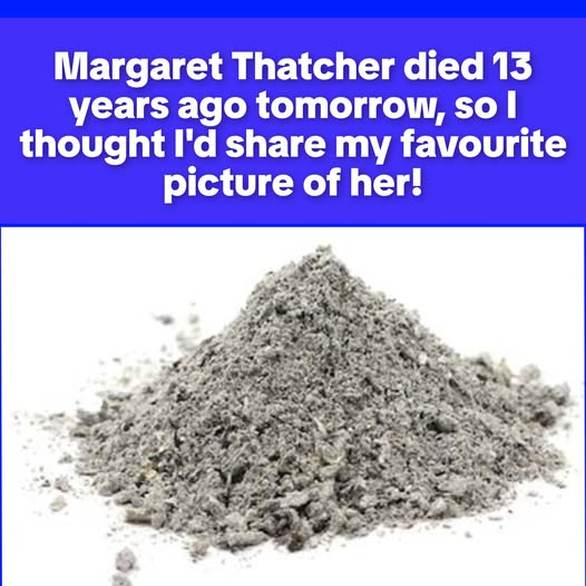 dave lawrence 🐟🐟🐠 tweet media