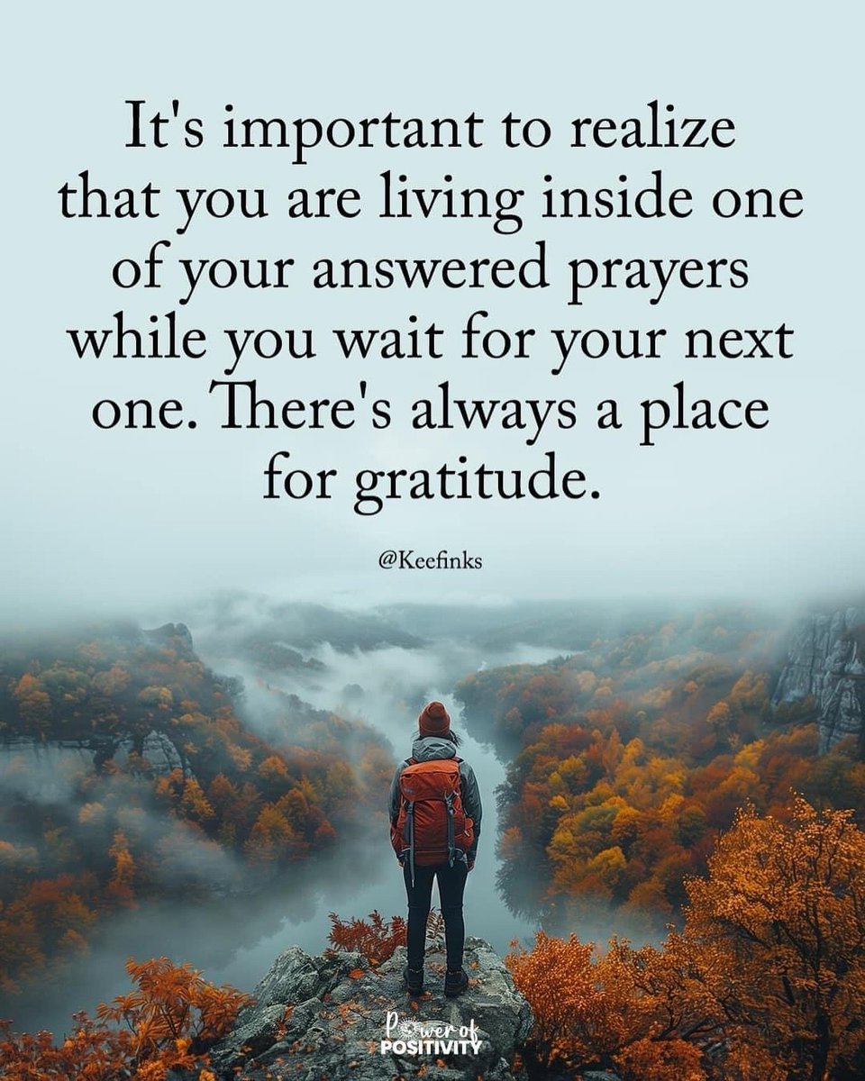 Kungfu Kelly tweet media