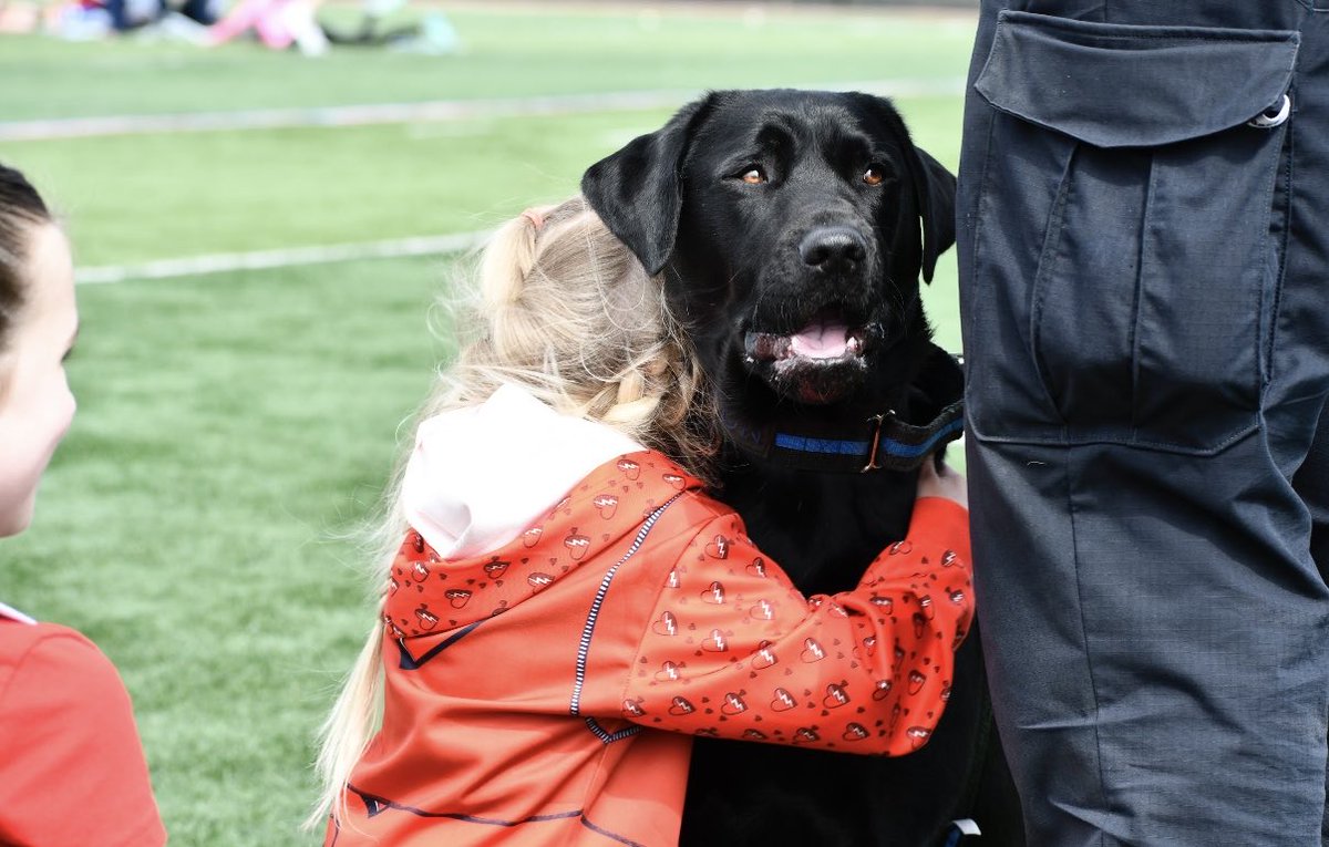 Rep. Andrew Garbarino tweet media