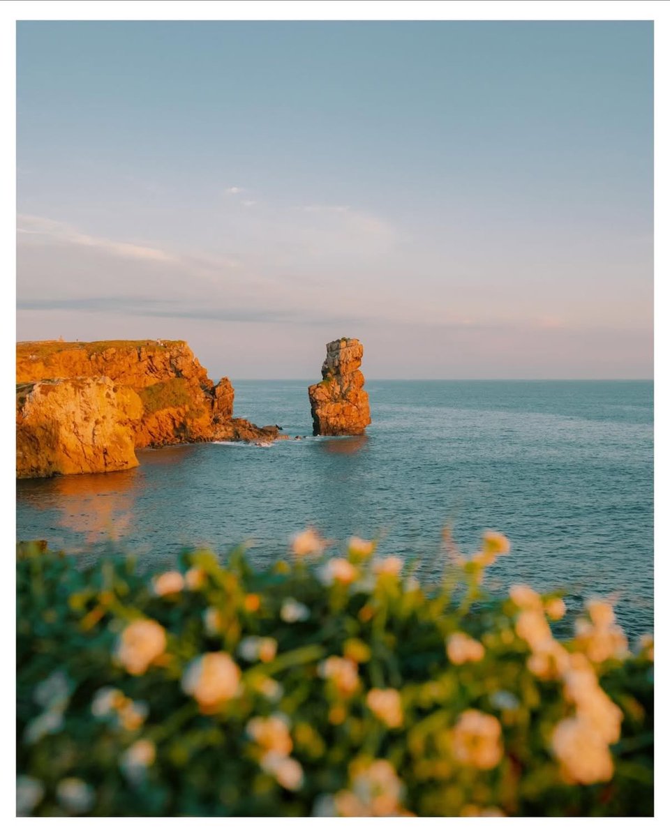 susogarc's tweet photo. The coast / Fujifilm X-T5 https://t.co/X7mOYDEnuH