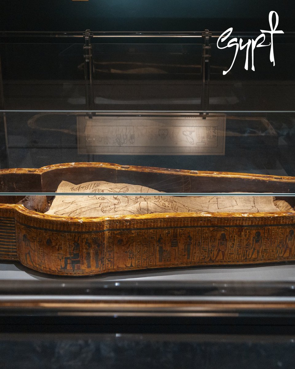 ExperienceEgypt's tweet image. Go beyond the tombs to see the precision and devotion that went into the art of eternity. A deeper look at the legacy of the ancient Egyptians at the Mumification Museum of Luxor.

#ExperienceEgypt #VistEgypt #Egypt