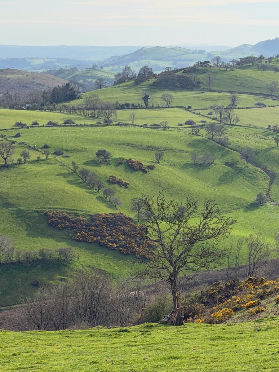 Matthew Stadlen tweet media