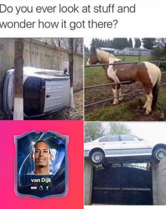 SAF Goose tweet media