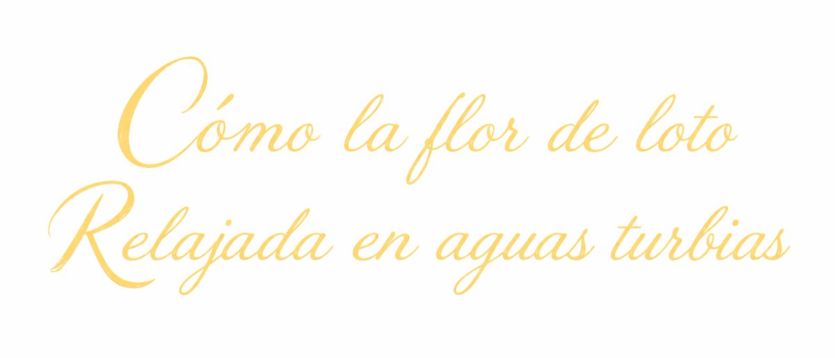 kate moss's daughter💌 tweet media