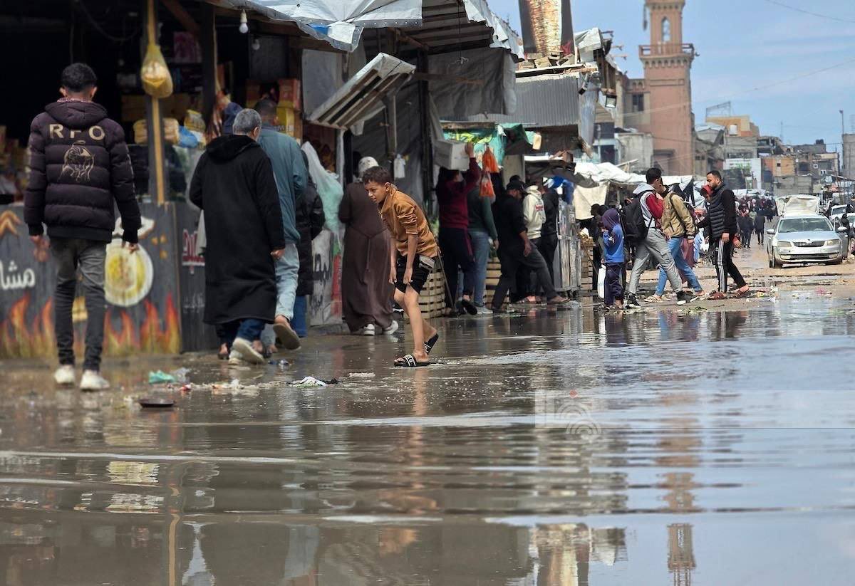 In Context tweet media