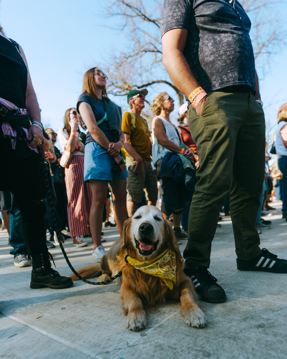 Treefort Music Fest tweet media