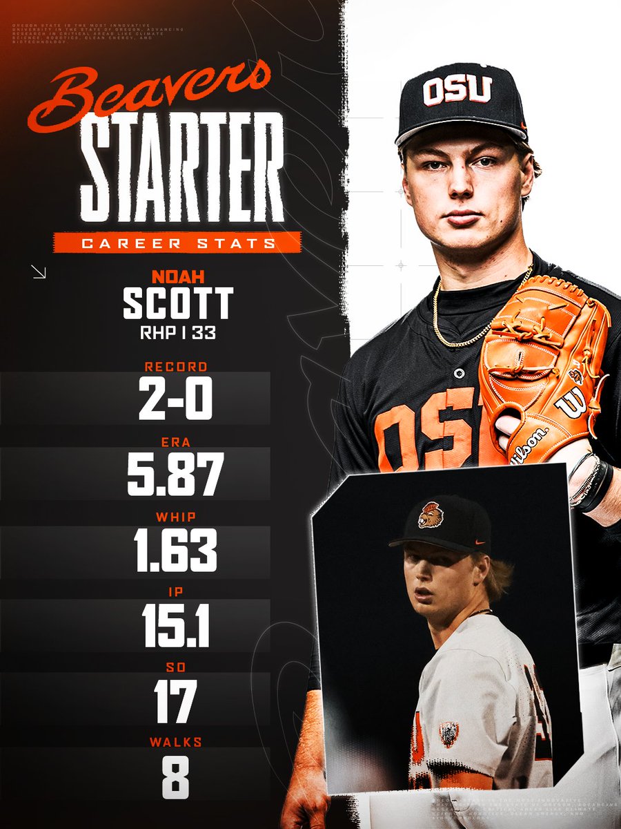 ZenBeav🦫 tweet media