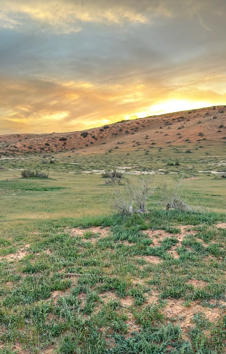 ابو نايـــف tweet media