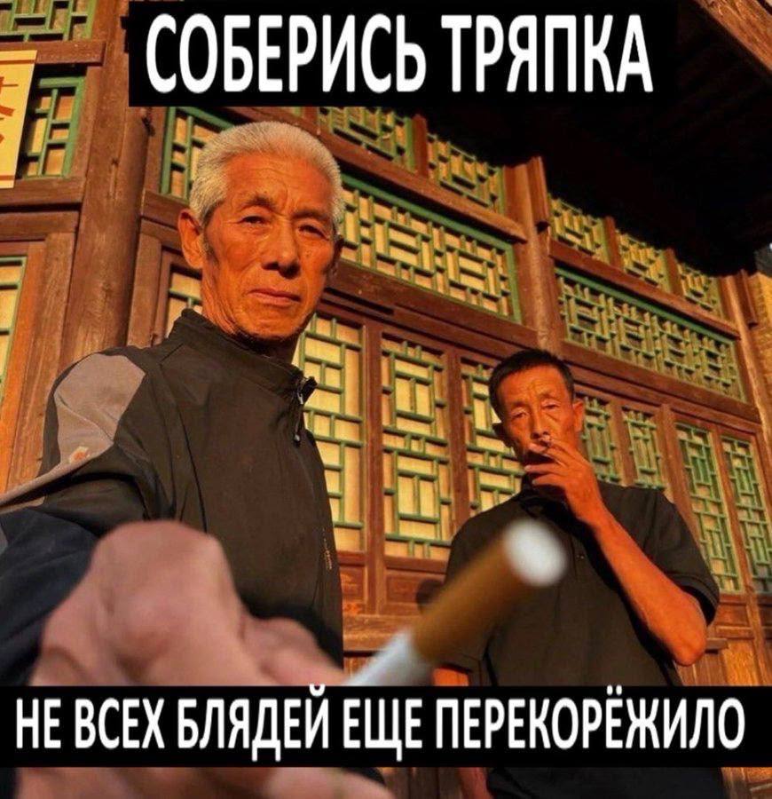 тваря tweet media