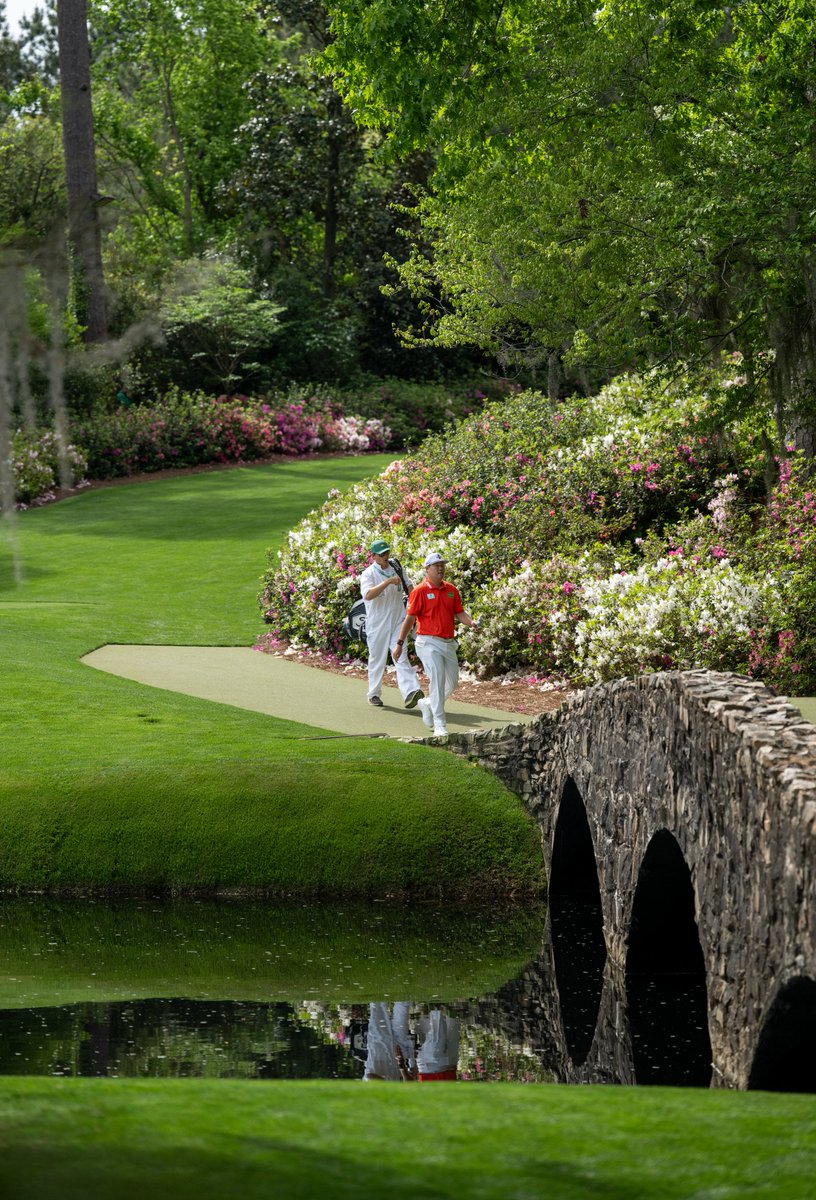 The Masters tweet media