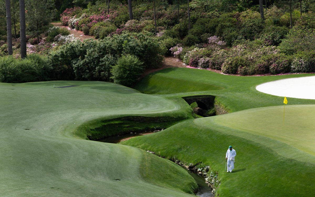 The Masters tweet media