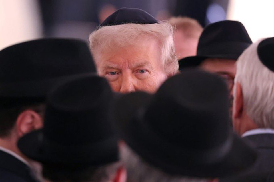 Dr. Simon Goddek tweet media