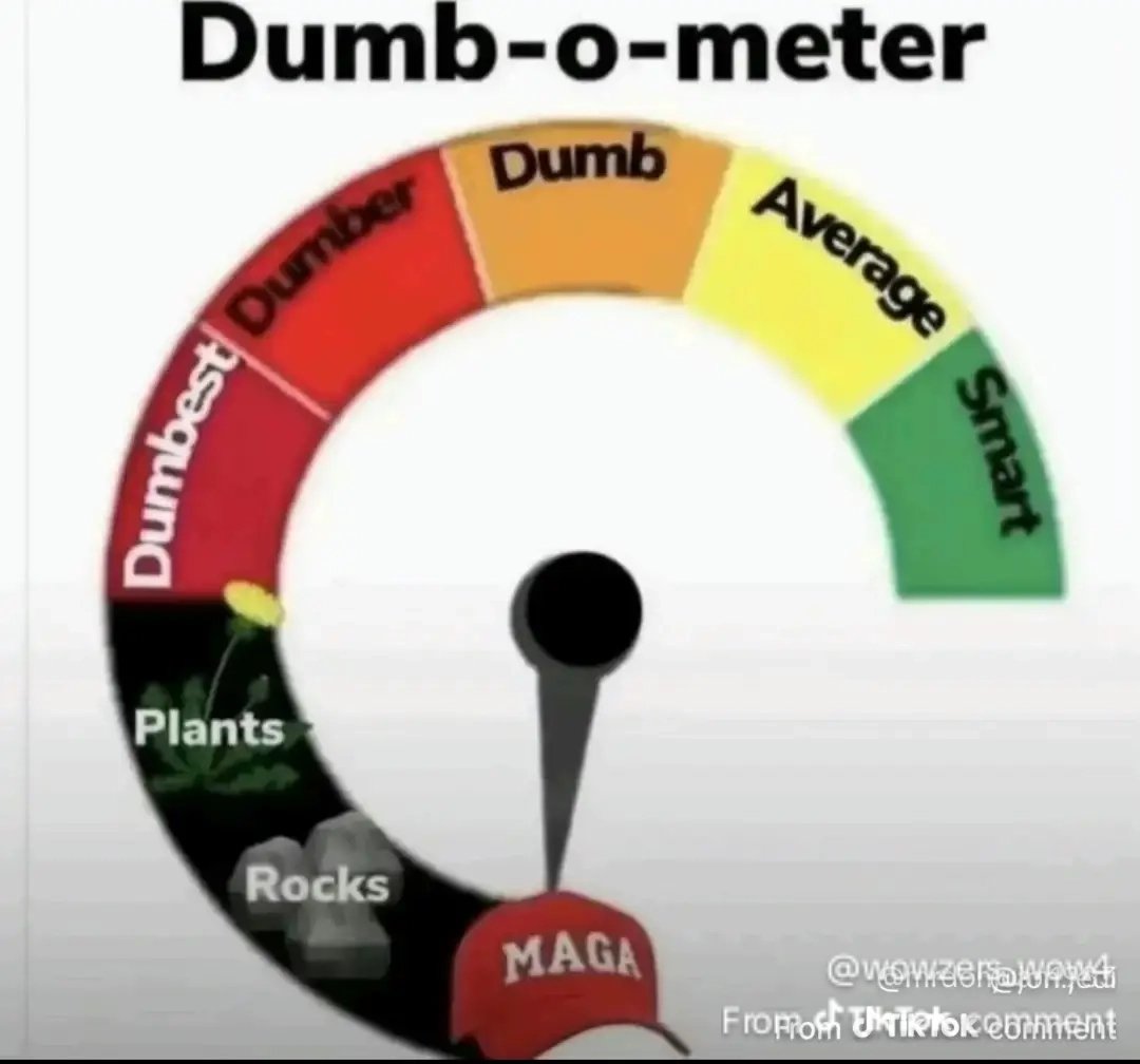 lucy heartfilia tweet media