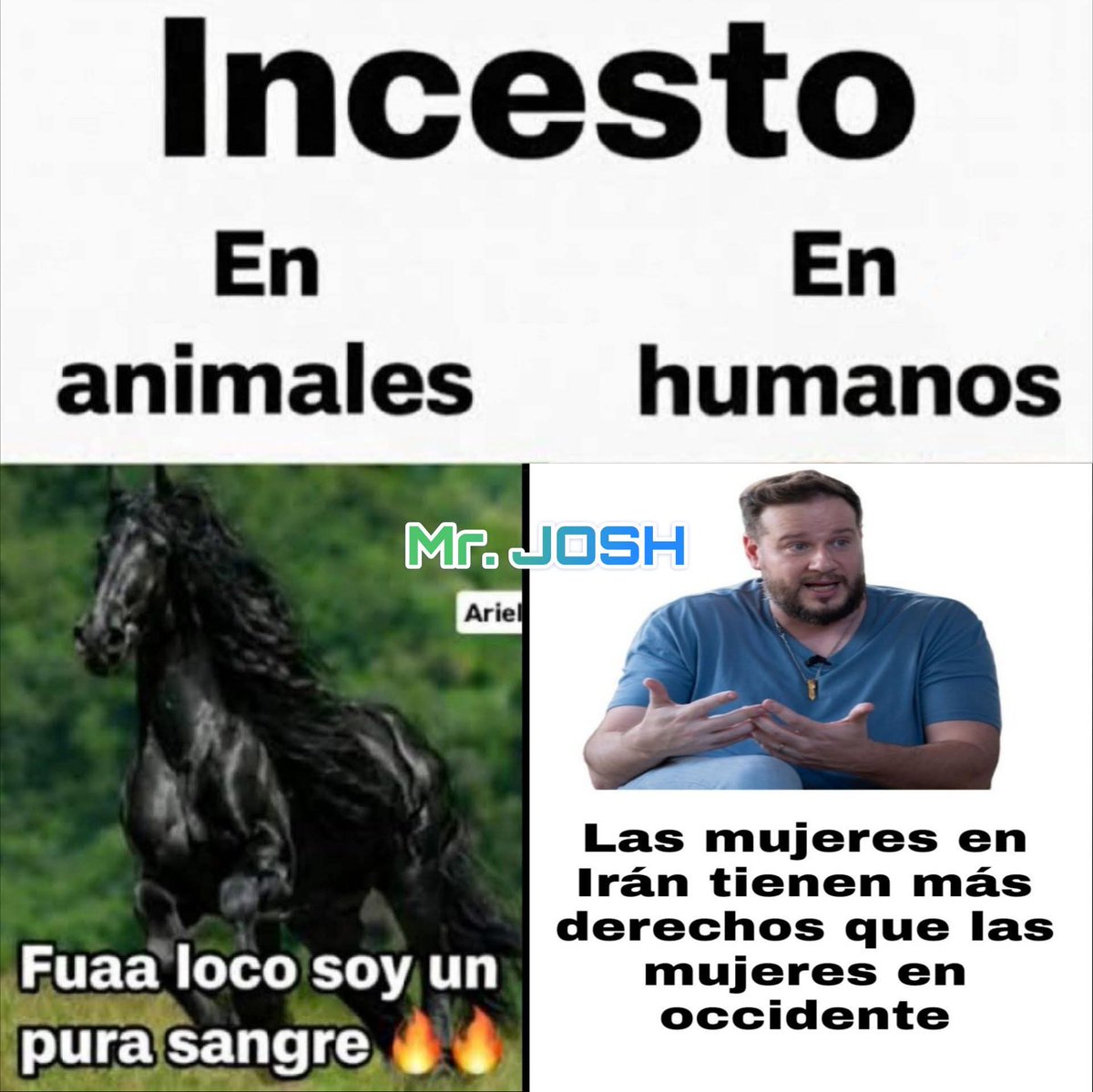 Shitpost Aleatorio tweet media