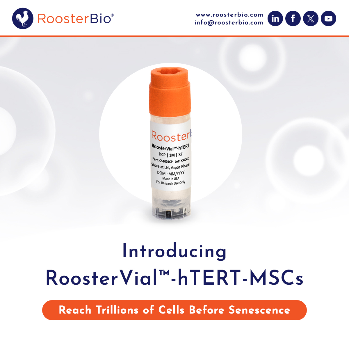 RoosterBio tweet media
