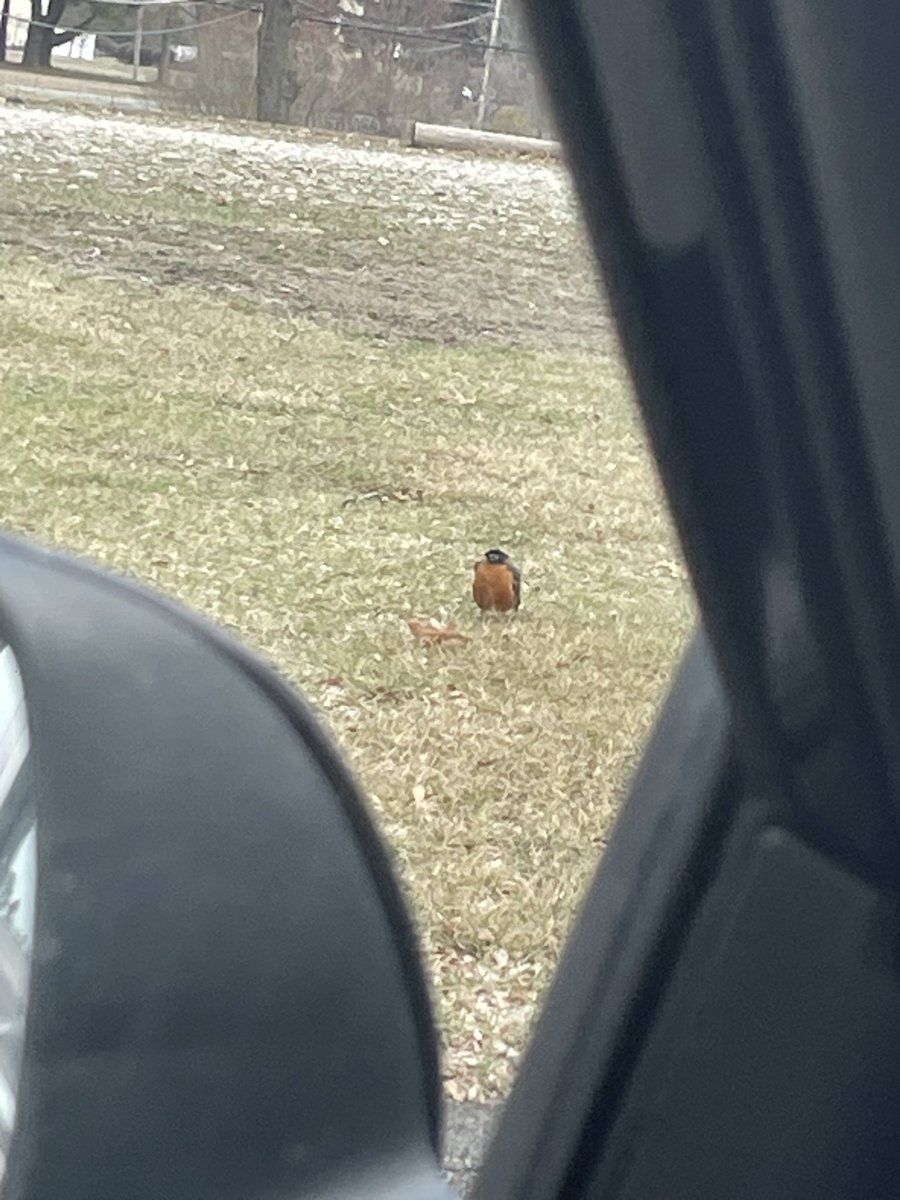 yarnie ｡𖦹°‧ tweet media