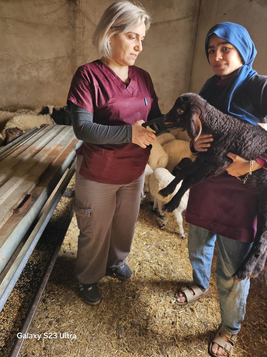 Haliliye İlçe Tarım ve Orman Müdürlüğü tweet media