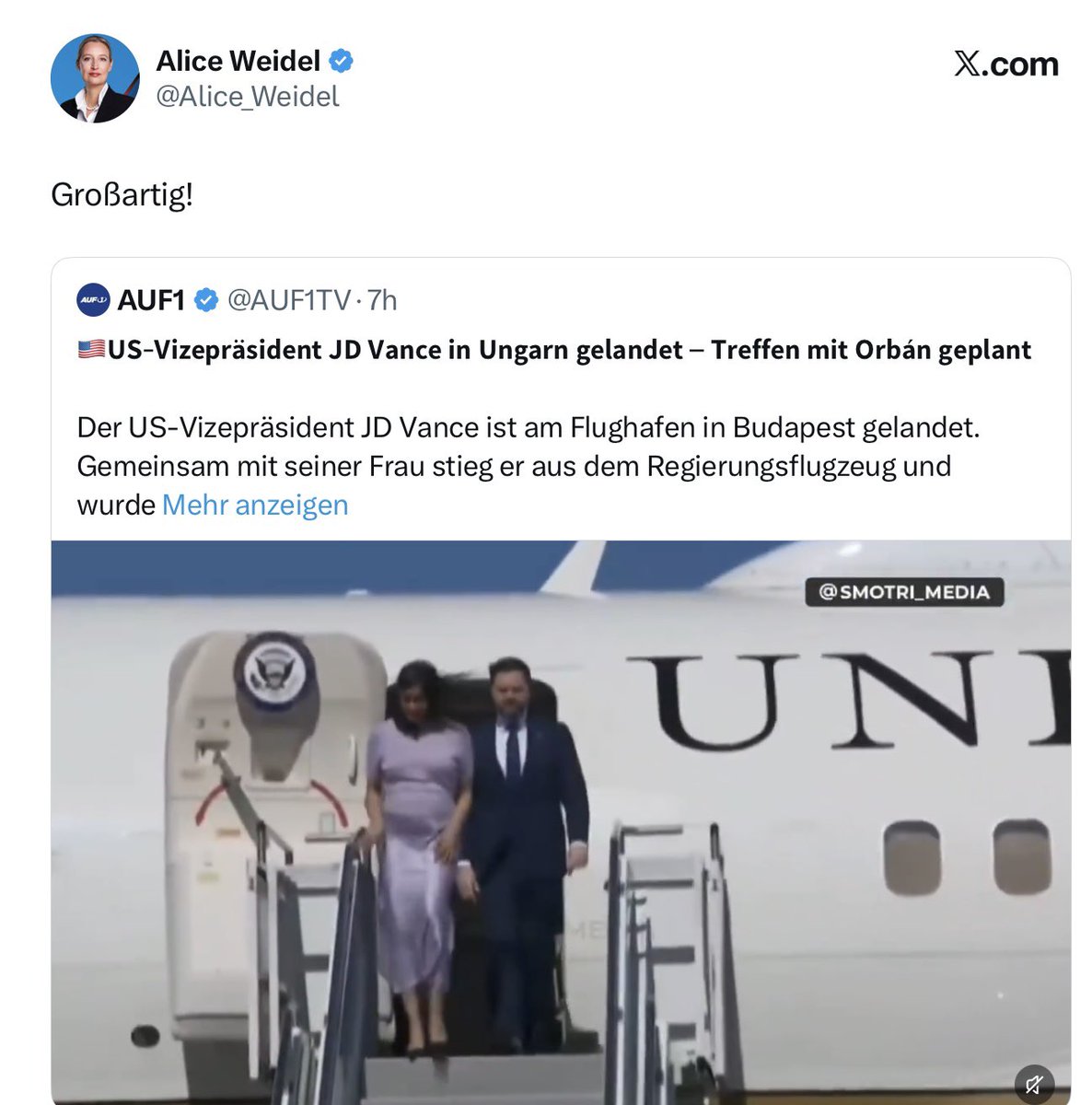 gabor halasz tweet media