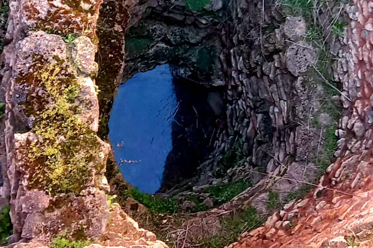 César Dorado tweet media