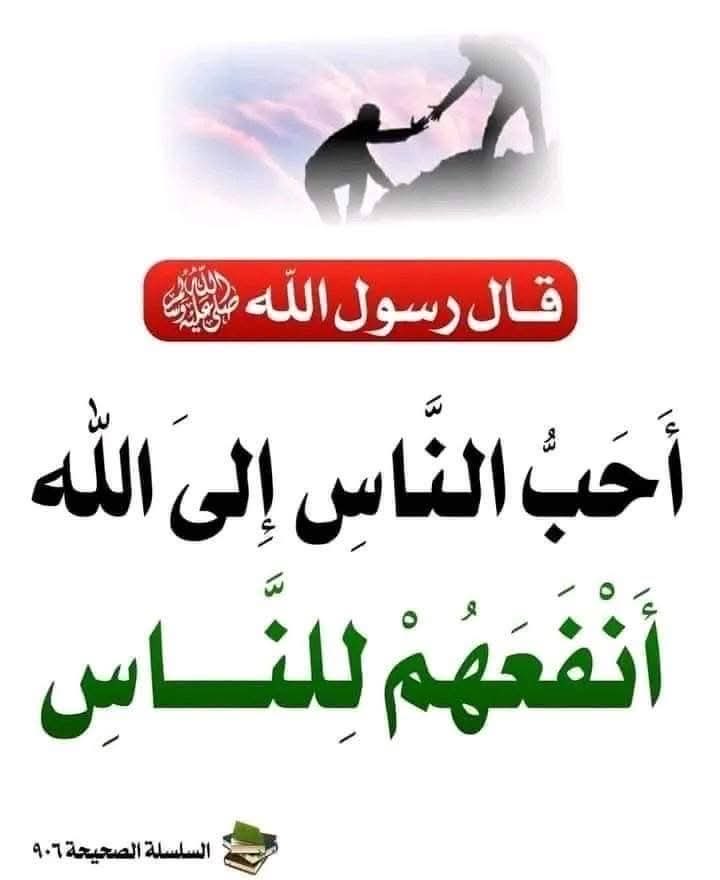 الدلما tweet media