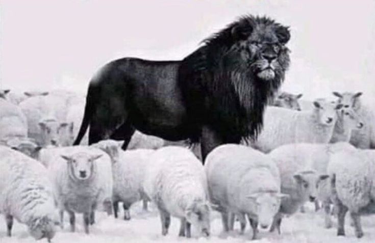 «samarth★समर्थ» tweet media