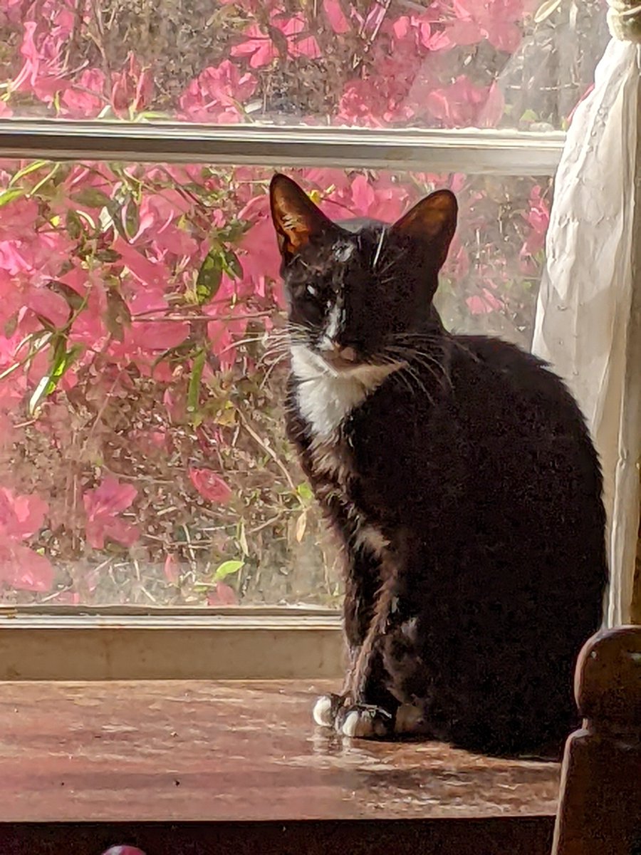 Janice Bruorton tweet media