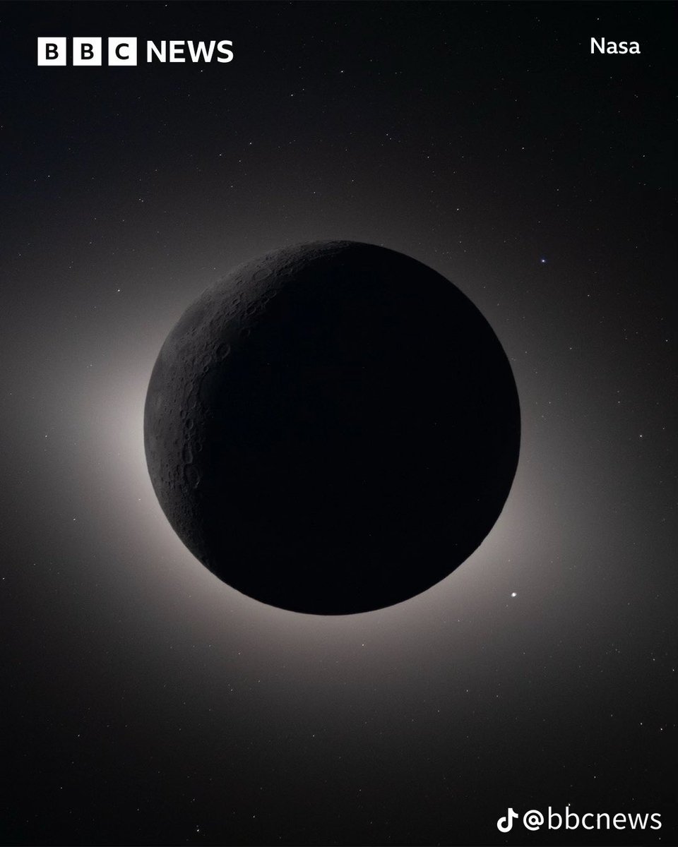 Real Life Villain tweet media