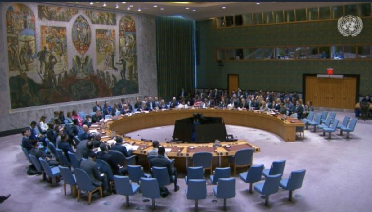 Camille Moscow 🇷🇺 🌿 ☦️ tweet media