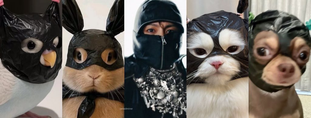 jungkook ♥︎ tweet media