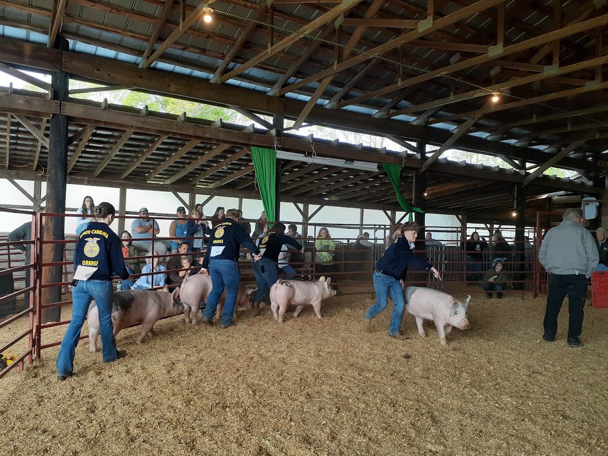 🍊Orange County Schools CTE tweet media